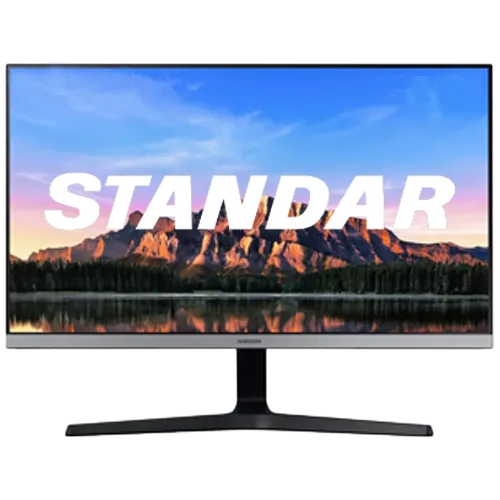 Monitor standar
